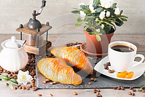 Food and drink, still life concept. Fresh croissants for breakfast lunch meal. Good start for day.
