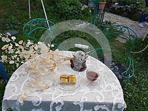 Food and drinks arranged on a garden table