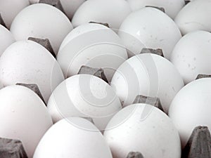 Food: Eggs