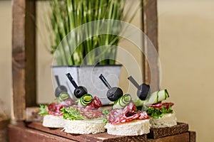 Food at event. Elegant Open-Faced Sandwiches with Cured Meat