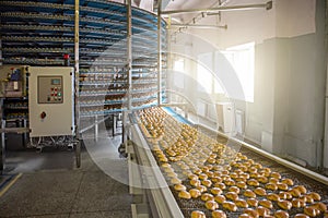 Food factory fabrication, industrial conveyor belt or line with process of preparation of sweet cookies, food production