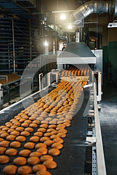 Food factory, production line or conveyor belt with fresh baked cookies. Modern automated confectionery and bakery