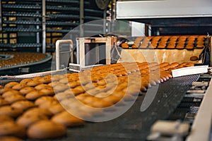 Food factory, production line or conveyor belt with fresh baked cookies. Modern automated confectionery and bakery