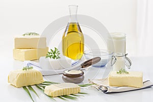 Food Fats and oil : set of dairy product and oil and animal fats on a white background