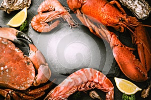 Food frame with crustacean for dinner. Lobster, crab, jumbo shrimps and oysters