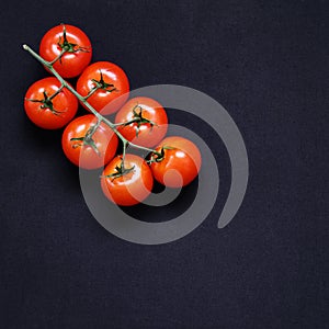 Food frame. Pasta ingredients. Cherry-tomatoes, spaghetti pasta, garlic, basil, parmesan and spices on dark background, copy