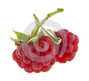 Food with fresh organic red raspberries isolated on white background