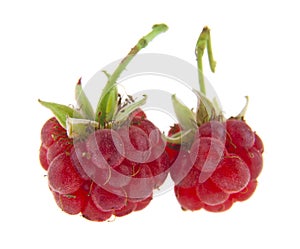 Food with fresh organic red raspberries isolated on white background