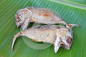 Food of fried Rastrelliger