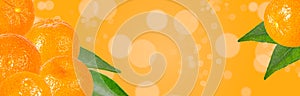 Food fruit banner isolated on yellow