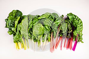 Food gradient of organic rainbow chard: spray-free leafy greens