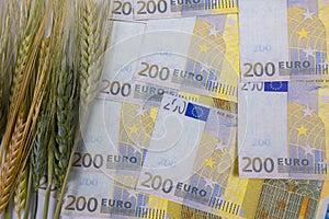 Food or grain or wheat or farming prices increasing in Europe concept photo