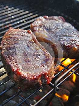 Food grilling stake