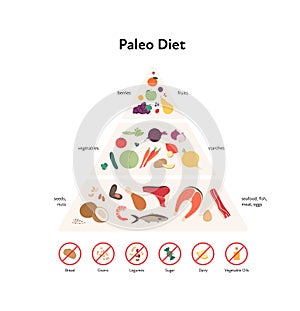 Food guide concept. Vector flat modern illustration. Paleo diet infographic pyramid with label, rules and recomendation with stop