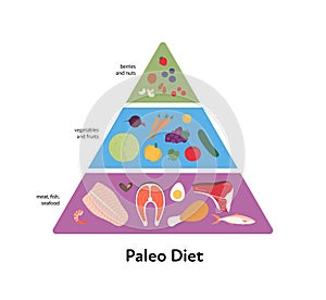 Food guide concept. Vector flat modern illustration. Paleo diet pyramid infographic. Colorful food icon set of berries, nuts,