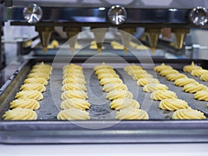 Food high technology manufacturing with automatic machine