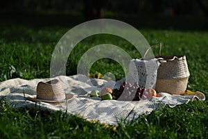 food, holidays and celebration concept - close up of picnic basket champagne bottle and french roll bread on summer