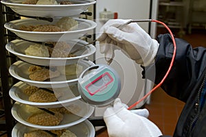 Food Safety Temperature Inspection