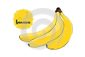 Brunch of cartoon drawn ripe bananas isolated on white. Yellow retro store label badge
