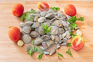 Food image of a bunch of cockles. Lupins Clams and Pipi Cockles on a woody cutting board.