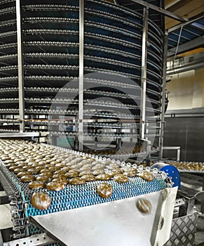 Food industry. Automatic bakery production line with sweet cookies on conveyor belt equipment machinery