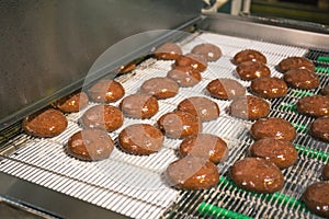 Food industry. Production line or conveyor belt with cookies, close-up. Food factory or bakery