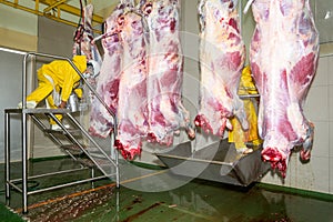 Food Industry Slaughterhouse Production Line photo