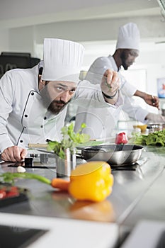 Food industry workers preparing delicious meal using organic vegetables in restaurant kitchen.