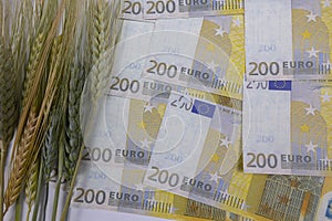 Food inflation in European Union concept. Wheats and Euros.