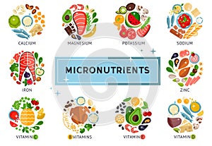 The food infographic about micronutrients, vitamins, design template