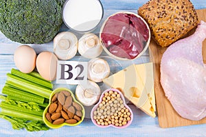 Food ingredients containing a large amount of vitamin B2 riboflavinum