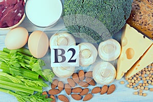 Food ingredients containing a large amount of vitamin B2 riboflavinum