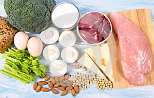 Food ingredients containing a large amount of vitamin B2 riboflavinum