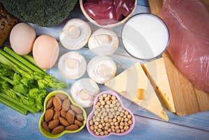 Food ingredients containing a large amount of vitamin B2 riboflavinum