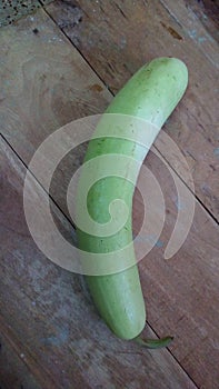 Bottle gaurd vegetable food natural photo