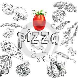 Food ingredients for pizza, sketch set, tomato, mushrooms, cheese, peppers, broccoli, arugula, basil, garlic, olives