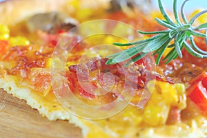 Food ingredients tomato corn spice pizza