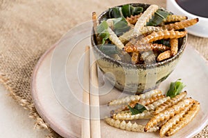 Food Insects: Bamboo worm Bamboo Caterpillar insect fried crispy for eating as food items on dish with chopsticks and sauce on