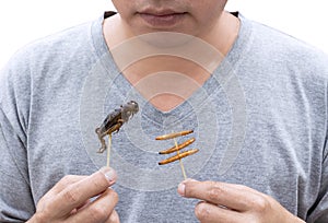 Food Insects: Man eating Bamboo Worms and Crickets insect deep-fried crispy for eat as food snack, it is good source of protein
