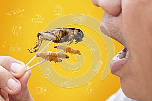 Food Insects: Man eating Bamboo Worms and Crickets insect deep-fried for eat as food snack and symbol icons media nutrition, it is