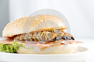 Food Insects: Worm beetle for deep-fried as food items in bread