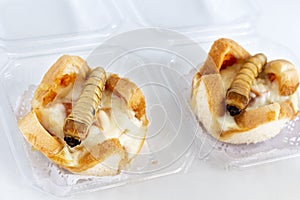 Food Insects: Worm beetle of Scarab Beetle for eating as food items made of cooked insect meat on bread baked in package is good