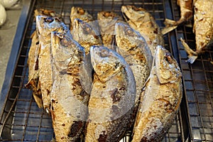 Food kabab at a street market in koh samui island in thailand