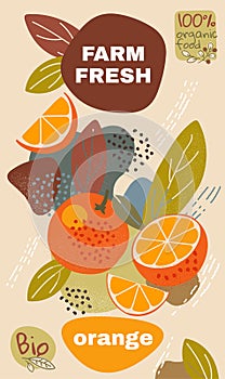 Food label template. vector illustration for organic orange fruit. natural bio fruits package design. ripe orange fruits