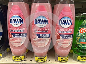 Food Lion grocery store Dawn new dish washing detergent