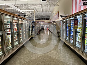 Food Lion grocery store interior frozen foods aisle low light 2021