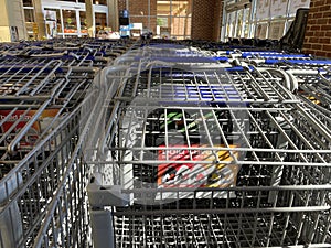 Food Lion grocery store shopping carts lined up in vestibule