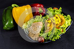 FOOD - Mixed salad with tuna