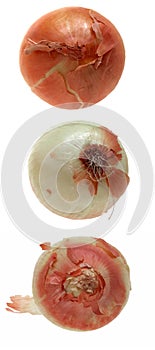 Food: Onion Trio