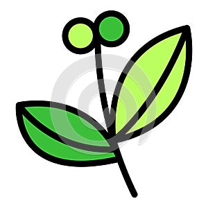 Food oregano icon vector flat